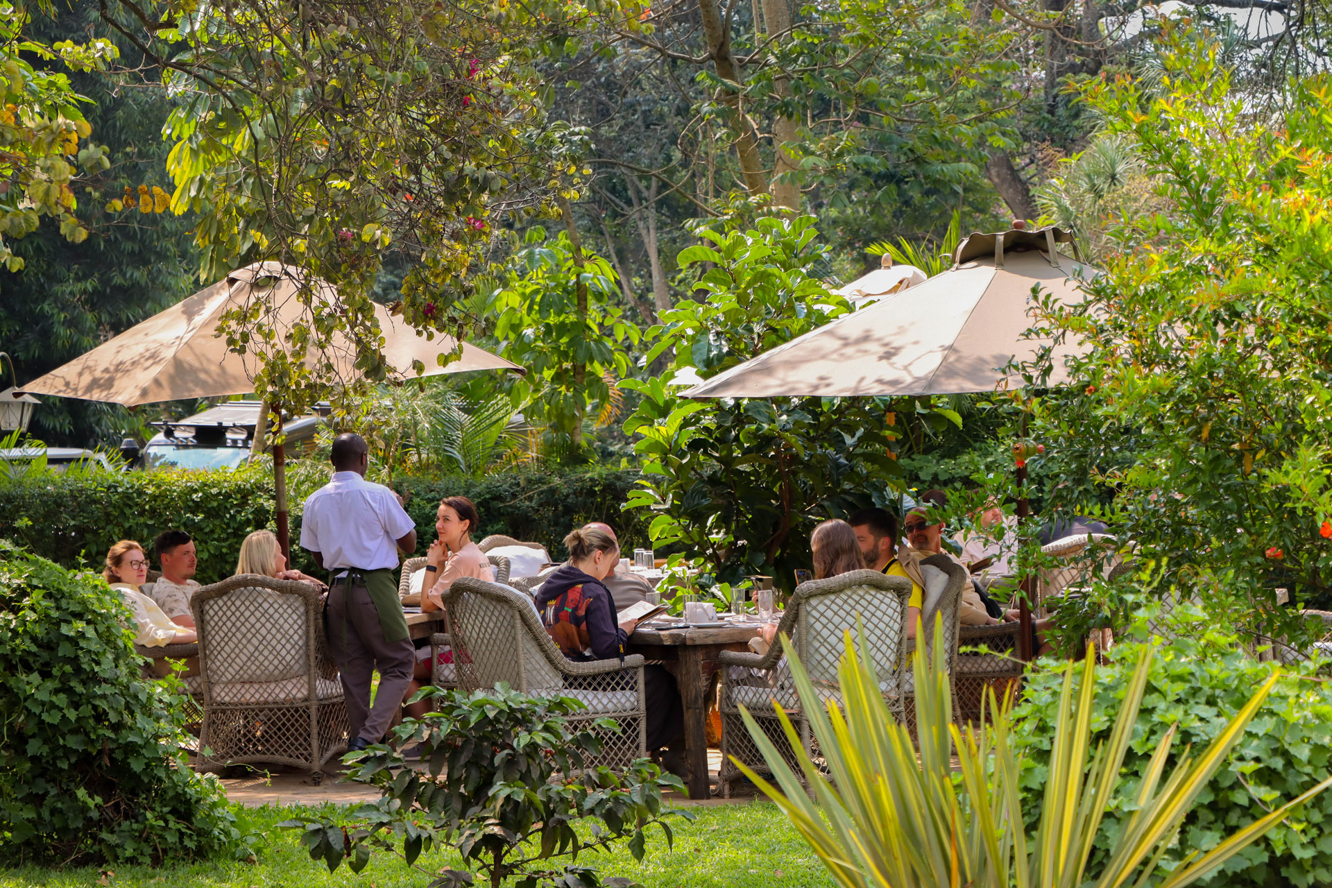 Coffee Garden