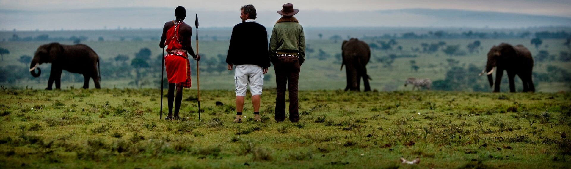 banner - plan your safari