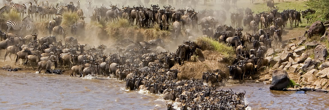 Masai Mara Migration deal