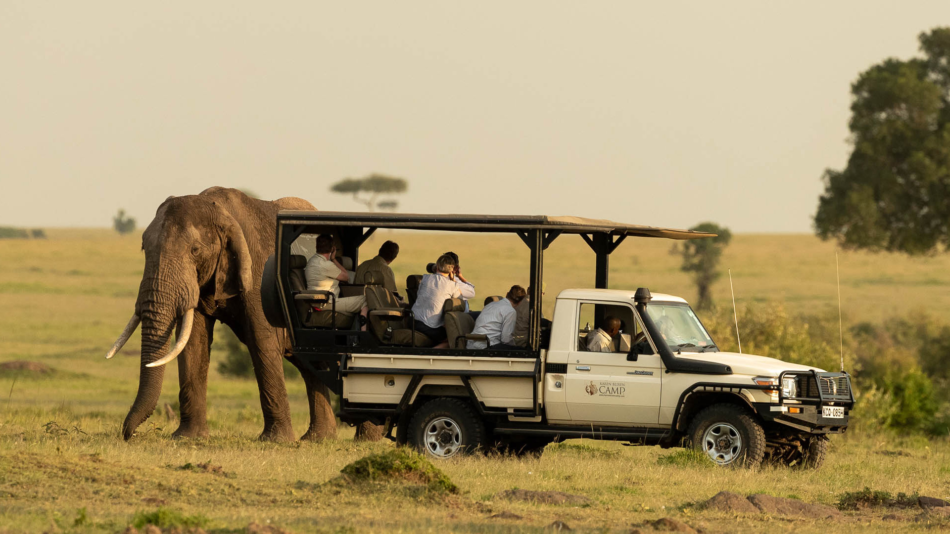 full-board-ground-and-road-package