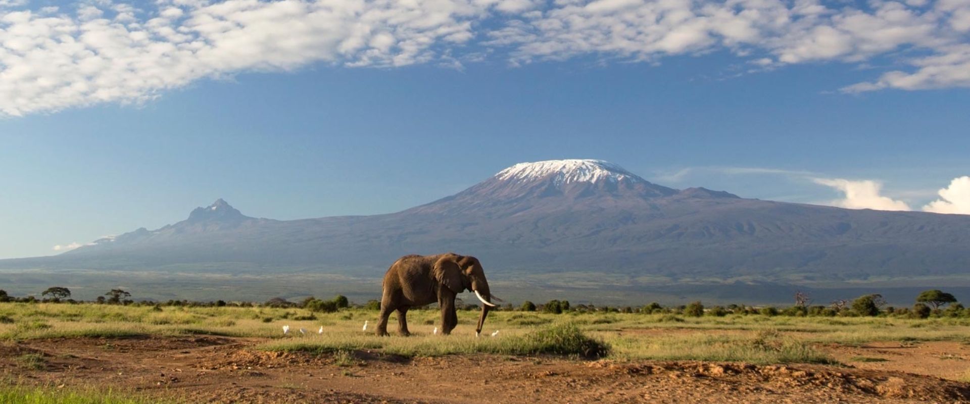 A breathtaking view of Mount Kilimanjaro with its snow-capped peak at sunrise.