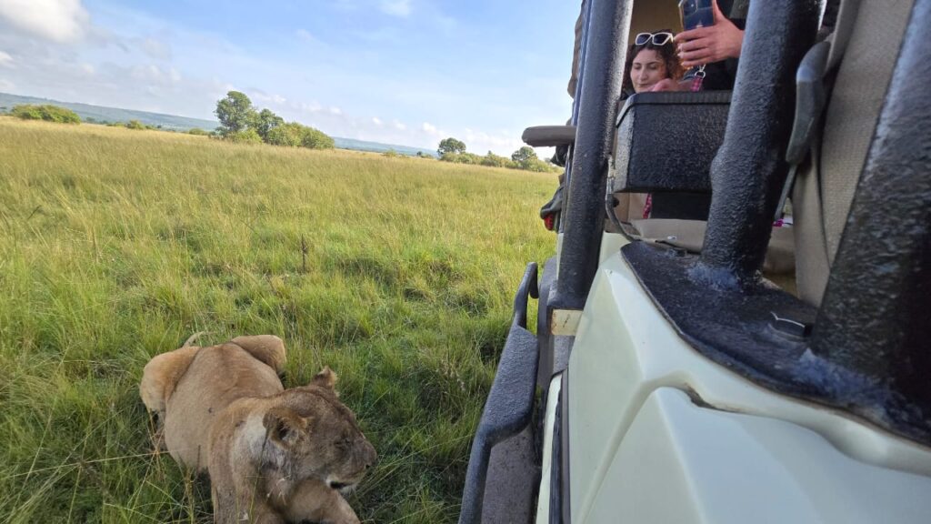 mud-masked-majesty-an-encounter-with-a-riverpride-lioness