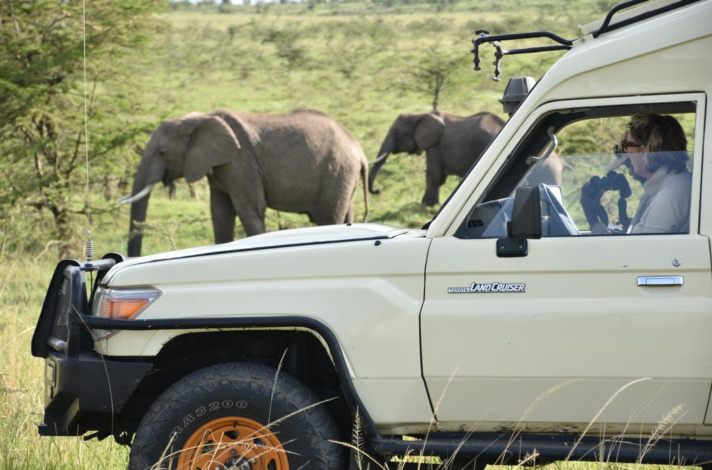 The Out Of Africa Experience DMC