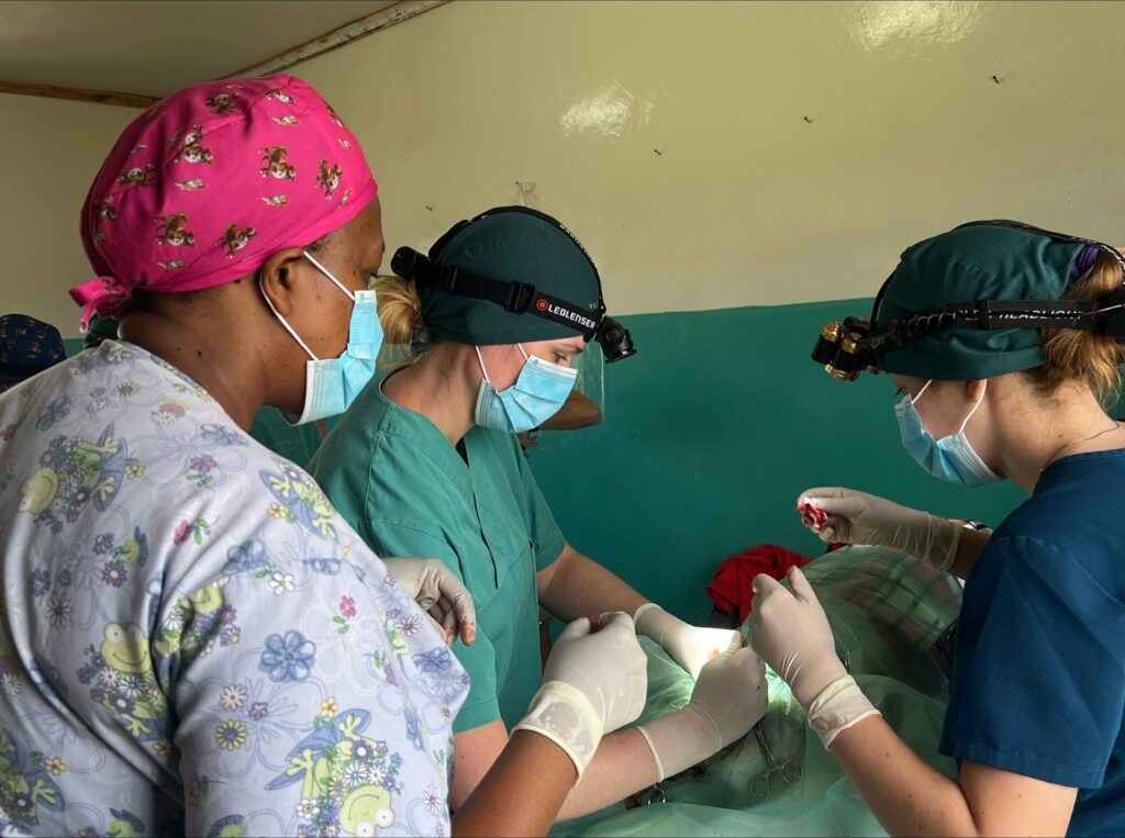 Safeguarding the Wild: Hosting the MNC Dog Project