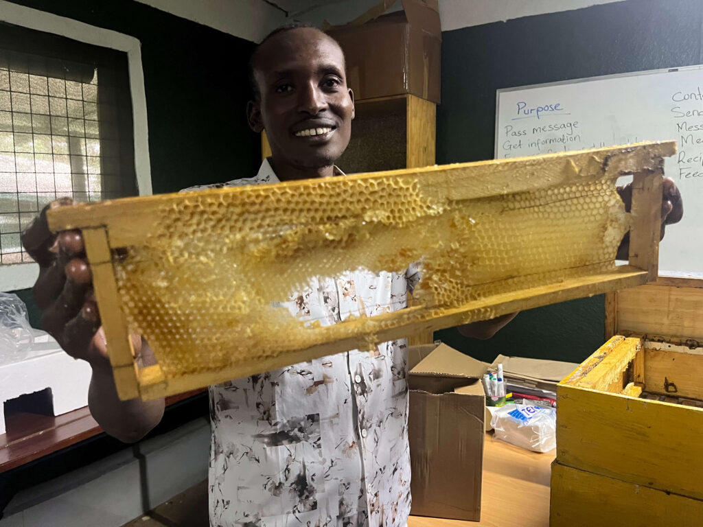 Sweet Conservation: How Bees are Protecting the Mara