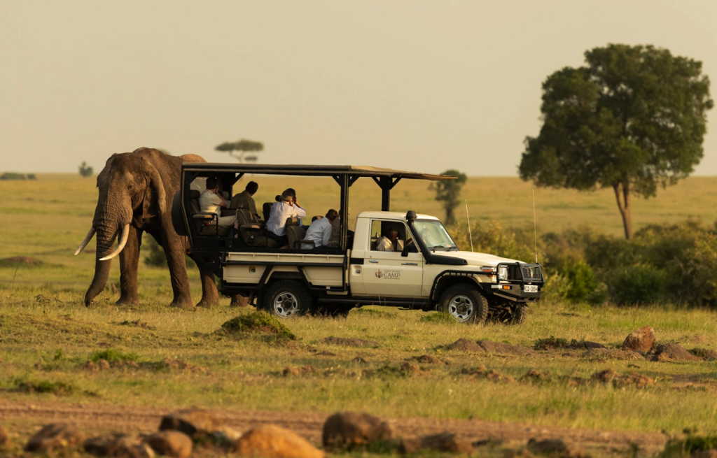 2026 Tourism Outlook: The Rise of Sustainable Luxury in the Mara