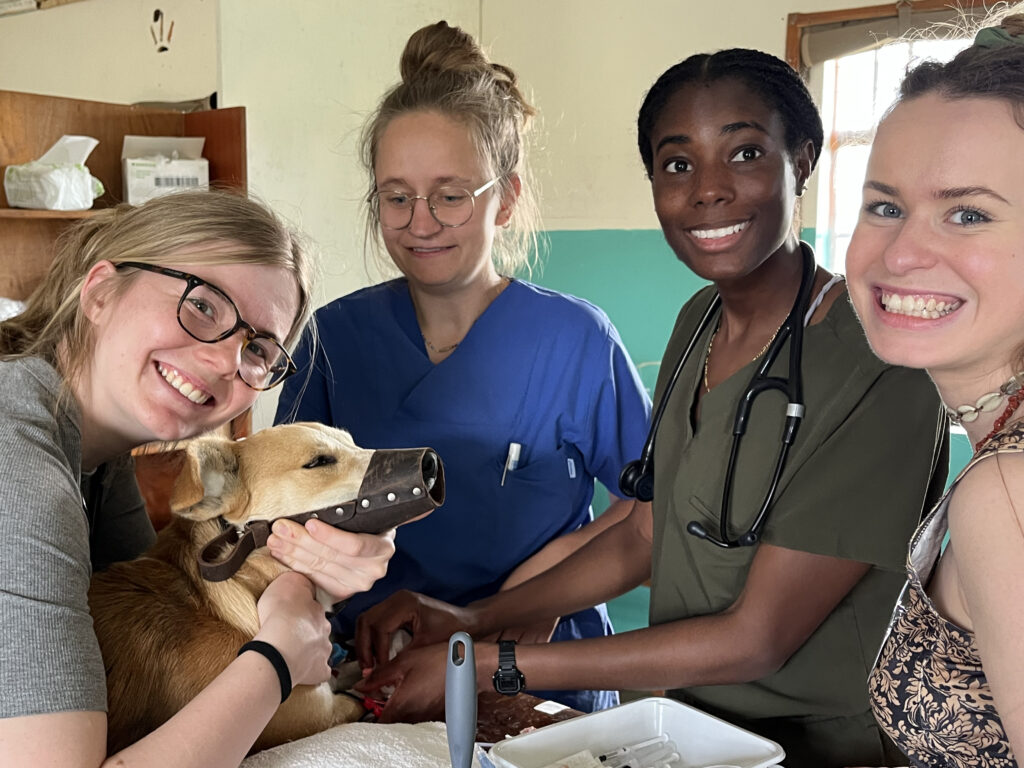 Paws & Progress: How Sparing 90 Dogs Protects the Mara’s Wildlife
