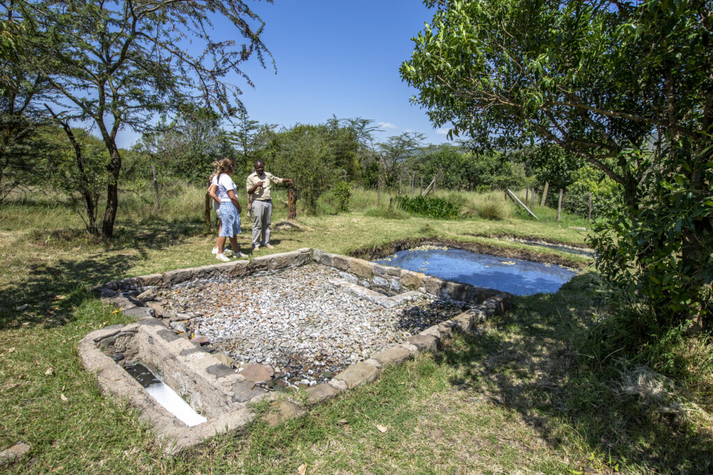 Earth Day Every Day: How Karen Blixen Camp Protects the Mara