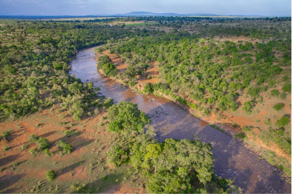Mara Day 2026: One River, Two Countries and a Shared Future